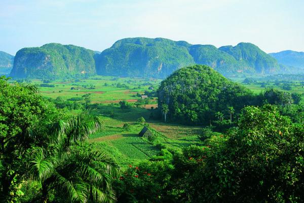 Viñales