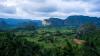 vinnales1